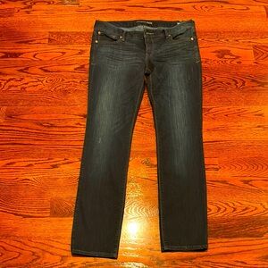 Express Dark Blue Skinny Jeans